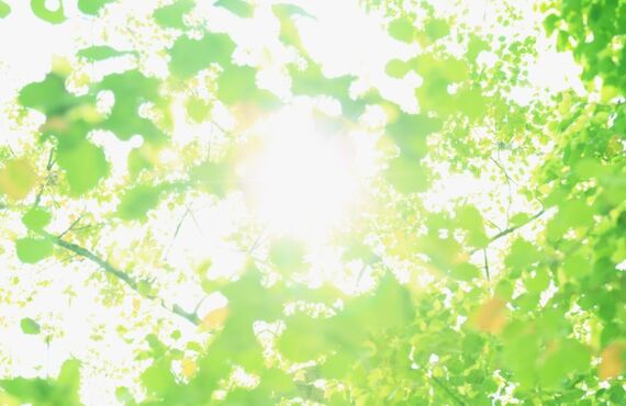 【２０２２年最新版！】岐阜の家庭教師
